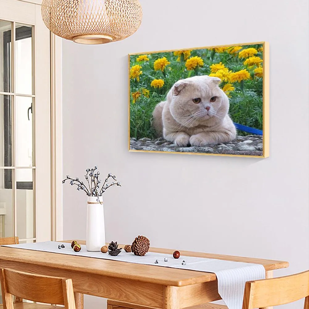 Animal  - Full Square Diamond - 50x40CM